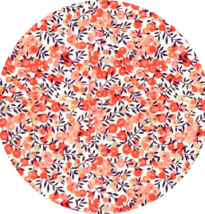 Wiltshire pois de senteur Liberty Mademoiselle PapetCie
