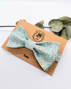 Nœud papillon pré-noué pour homme Liberty Capel Mint