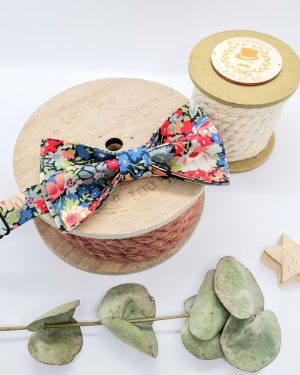 Noeud papillon homme en Liberty Thorpe Red Blue