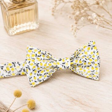 mariage-accessoires-noeud-papillon-costume-homme-liberty-of-london
